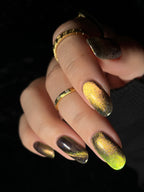 I Got Them This Far, Zodyl