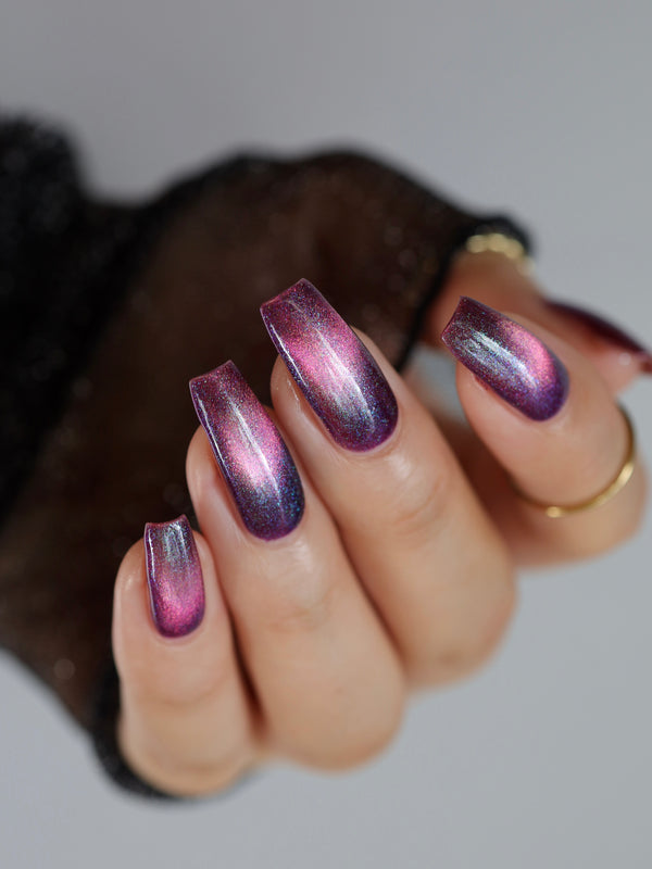 POLISHEDBOOKWORM