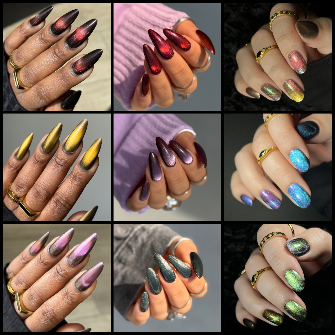 Expeditioner's Bundle